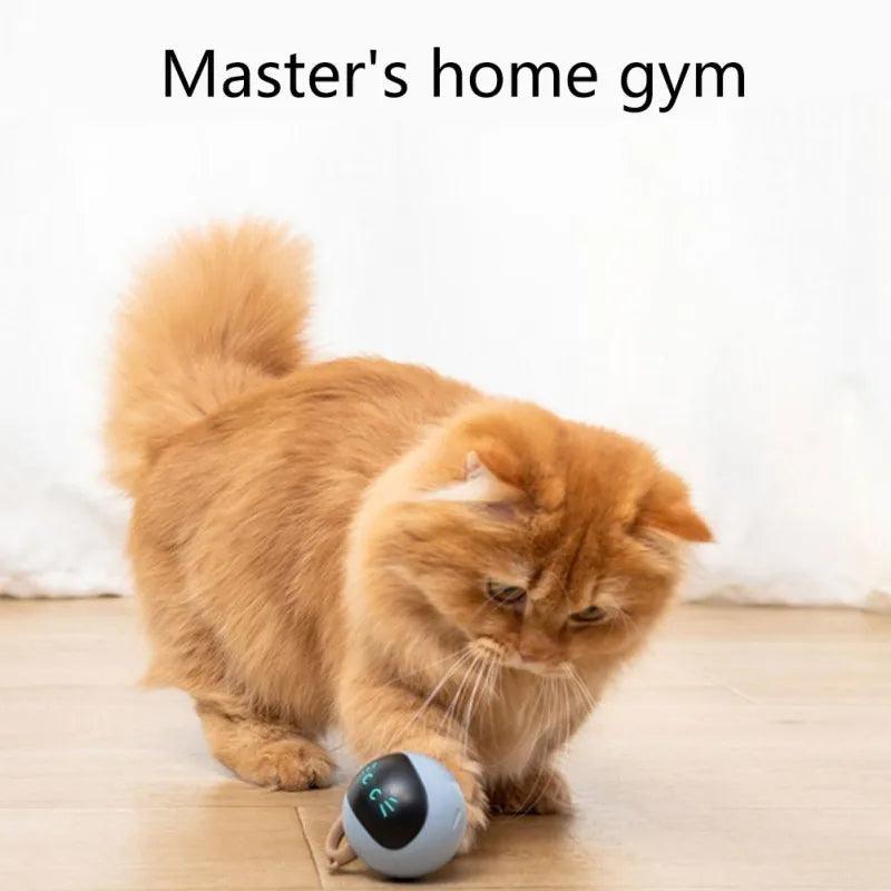 Brinquedo de Gato Interativo Inteligente - Ofertas fluxo 