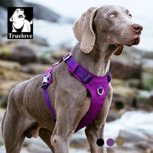 Peitoral para Cães Truelove à Prova D'água e Refletivo - Ofertas fluxo 