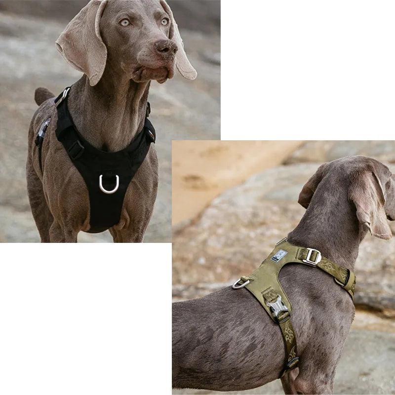 Peitoral para Cães Truelove à Prova D'água e Refletivo - Ofertas fluxo 