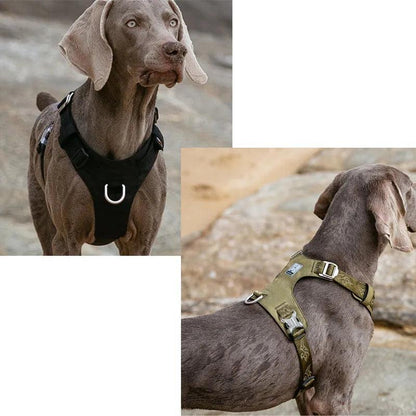 Peitoral para Cães Truelove à Prova D'água e Refletivo - Ofertas fluxo 