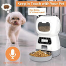3.5L Dog Automatic Feeder with Voice Timing Stainless Steel Bowl Cat Dry Food Dispenser Tuya APP Smart Pet Feeder Dog Feeder - Ofertas fluxo 